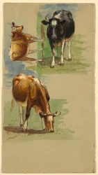Bétail, bouvillons