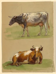 Bétail, une vache marchant et une vache accroupie