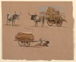 Dessin, chars à bœufs, Rome, Italie, janvier 1873