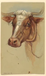 Dessin, Croquis de Narragansett, Rhode Island, 1871