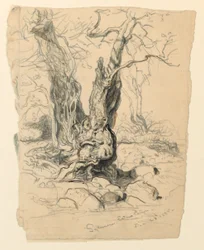 Dessin, études. Arbres, 23 décembre 1885