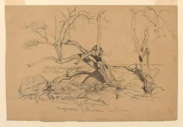 Dessin, études. Arbres, Santa Barbara, Californie, 3 février 1888