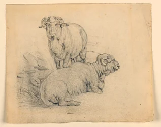 Dessin, étude. Deux béliers, vers 1850