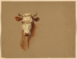 Dessin, deux études.  Bétail, 1876