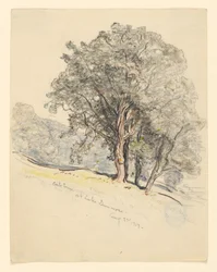 Étude de chênes au lac Dunmore, Vermont