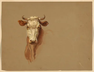 Deux études de bétail