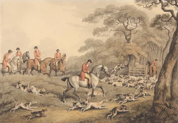 Chasse au renard : en route vers le terrier