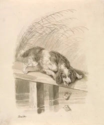 Le chien et l