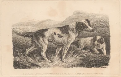 Deux chiens