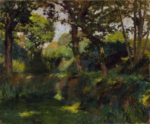 Paysage boisé, fin 19e-début 20e siècle
