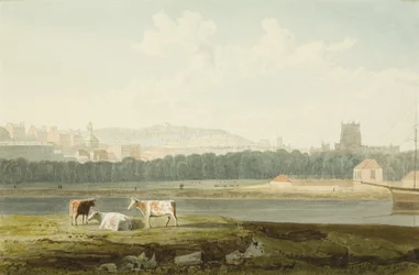 Vue sur le port flottant, avec St George