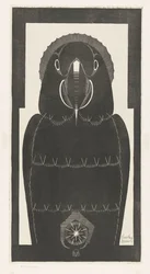 Ara