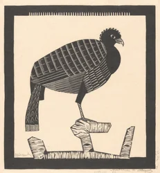 Pauwies (titre original)
