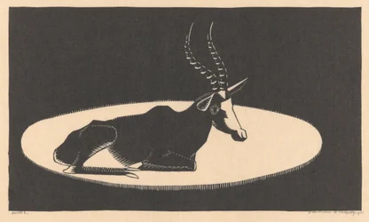 Blesbok