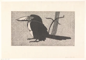 Toucan