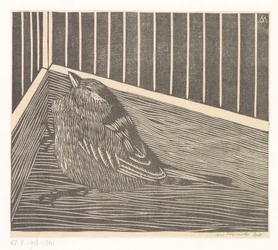 Oiseau dans un coin de cage