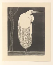 Aigrette