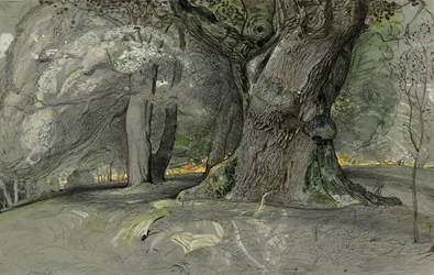 Chêne et hêtre, parc de Lullingstone