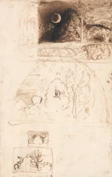 La lune croissante