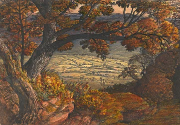 Le Weald du Kent