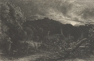 Le laboureur fatigué, ou Le berger, ou Tardus Bubulcus