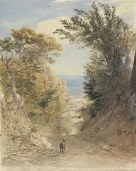 Vue de Rook