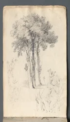 Carnet de croquis : Étude d