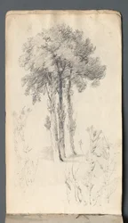 Carnet de croquis : Étude d