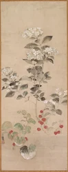 Fleurs d