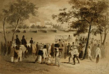 Domaine du Gouvernement, Sydney