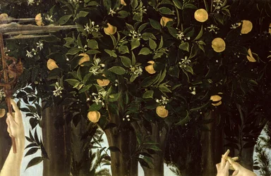 Primavera, détail de l