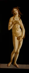 Vénus Pudica, vers 1485-1490