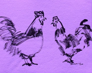 Esquisse de coqs audacieux