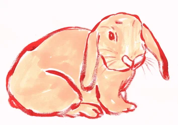 Joli lapin 4