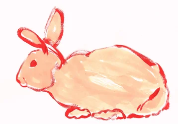 Mignon lapin orange