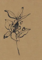 Illustration botanique aux tons terreux