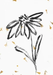 Fleur aux pétales tombants