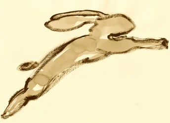 Esquisse de lapin bondissant