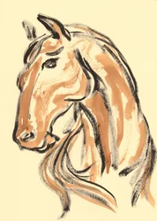 Profil majestueux de cheval