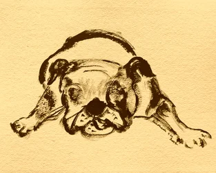 Croquis ludique de bouledogue