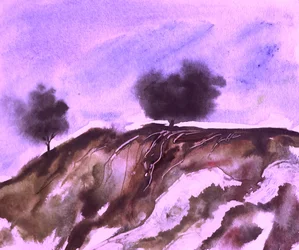 Les racines des collines violettes