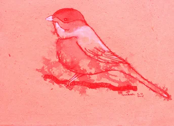 Oiseau rouge sur une branche
