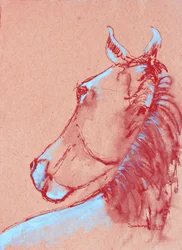 S56