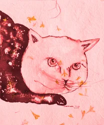 Chat rose serein