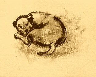 Croquis de chiot endormi
