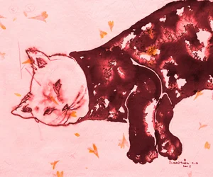 Le chat rouge endormi