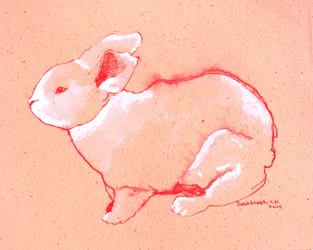 Doux petit lapin