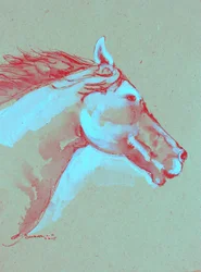 Tête de cheval aux couleurs vives