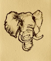Dessin d