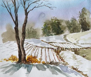 Paysage hivernal
